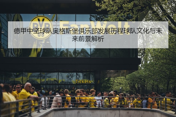 德甲中坚球队奥格斯堡俱乐部发展历程球队文化与未来前景解析