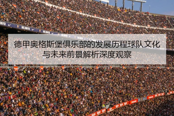 德甲奥格斯堡俱乐部的发展历程球队文化与未来前景解析深度观察
