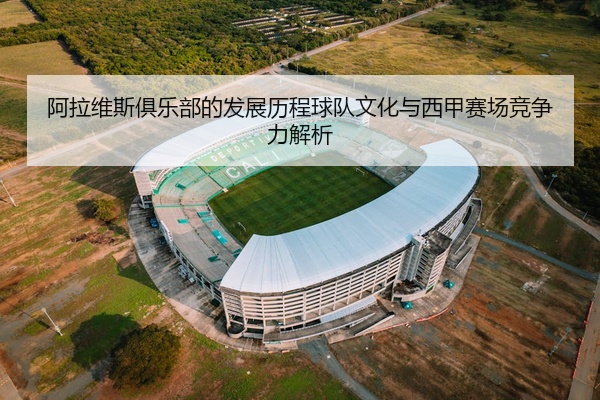 阿拉维斯俱乐部的发展历程球队文化与西甲赛场竞争力解析